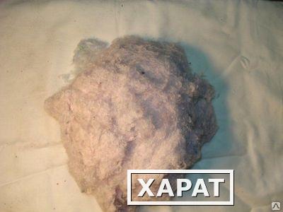 Фото Вата РВ (регенерированное волокно) белоземельная