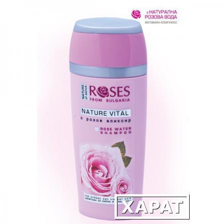 Фото Питательный шампунь для волос Розовый эликсир Roses from Bulgaria Agiva 250 ml