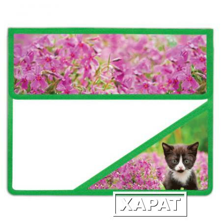 Фото Папка для тетрадей BRAUBERG (БРАУБЕРГ), А5, пластик, на липучке, с уголком, для девочек, котенок