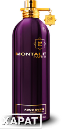 Фото Montale Aoud Ever 100мл Стандарт