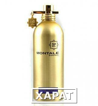 Фото Montale Aoud Velvet Montale Aoud Velvet 50 ml