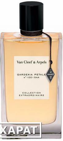 Фото Van Cleef Arpels Collection Gardenia Petale 75мл Тестер