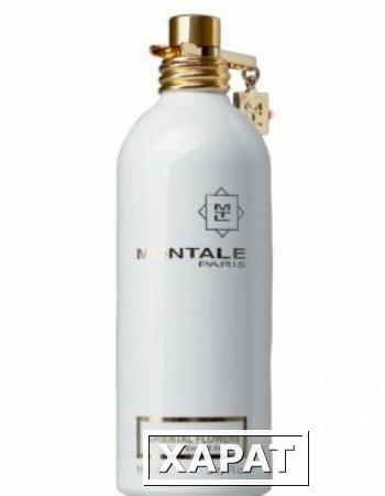 Фото Montale Oriental Flowers Montale Oriental Flowers 50 ml