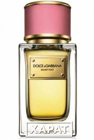 Фото D&amp;G LUX Velvet Rose 150мл Стандарт