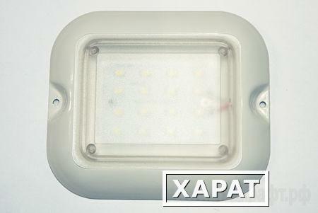 Фото Светодиодный светильник LC-NK02-6WW Ledcraft