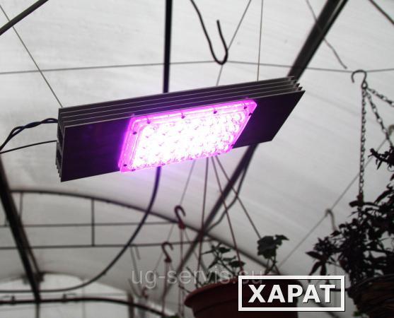 Фото Мощный светодиодный тепличный светильник "Фито-М 30 Ш" 32,5 Вт (оптика 126х70)