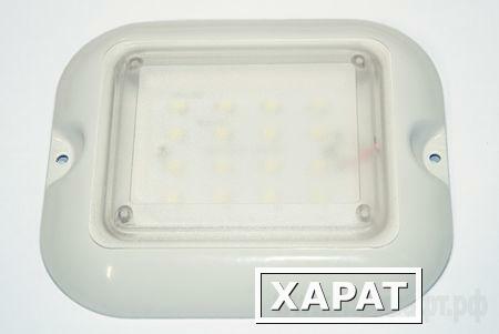 Фото Светодиодный светильник LC-NK02-10WW Ledcraft