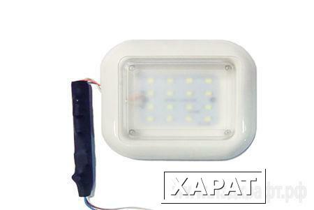 Фото Светодиодный светильник LC-NK01-10W Ledcraft