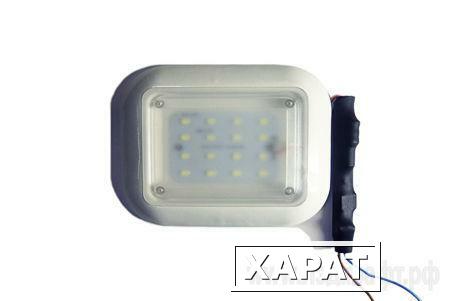 Фото Светодиодный светильник LC-NK01-10WW Ledcraft