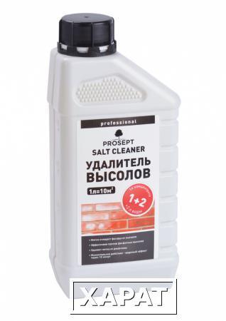 Фото Средство для очистки высолов PROSEPT SALT CLEANER, 1л