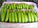 фото Реализуем бананы, производство Эквадор