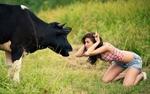 фото Кормовая добавка для КРС (крупно - рогатого скота) “Tripel Large Cattle”