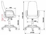 Фото №6 Кресло руководителя БЮРОКРАТ CH-808AXSN/TW-12 серый TW-12