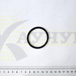 фото Уплотнительное кольцо 42,8х3,3 (740.1303099) трубы перепускной водяного термостата КамАЗ, Урал