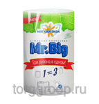 фото Бумажные полотенца Мягкий знак Mr.Big 2сл белые