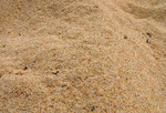 фото Песок Речной Камышловский навалом