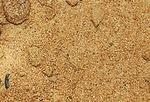 фото Песок строительный сеяный