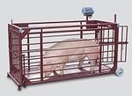 фото ВП-ЖК Весы платформенные с подвесной клеткой для взвешивания животных