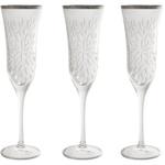 фото Набор: 6 хрустальных бокалов для шампанского Умбрия Матовая - платина Same ( SM3552_844FP-AL )
