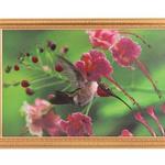 фото Картина колибри, стразы,55х35см (562-037-28)