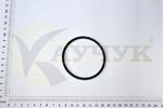 фото Уплотнительное кольцо 66 х3,5 (100-3514103) тормозного крана ЗИЛ