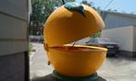 Фото №7 Киоск Апельсин для продажи свежевыжатого сока