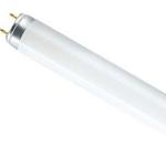 фото Люминесцентная лампа Osram L30W 640 G13 D26mm 895mm холодный белый 4000 K - 4008321959690