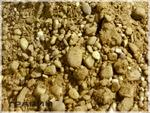 фото Поставки гравийно-песчаная смесь, песчано-щебневая смесь