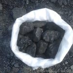 Фото №3 Каменный уголь в Гатчине