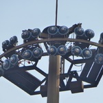 Фото №4 Промышленный светильник светодиодный  480Вт, IP66, ZY8606S-L480