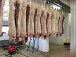 фото Продажа мясоперерабатывающего комплекса 2500 м2 в Курской области