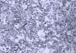 фото Самоклеящаяся пленка PRORAB Пленка самокл. 0,45х8м мраморная крошка 793А