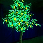 фото Светодиодное дерево Карамбола C3-280x220-952LED