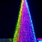 фото Набор освещения Хамелеон RGB для елок 12 м.