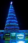 фото Набор освещения Пояс Ориона RGB для елок 25 м.