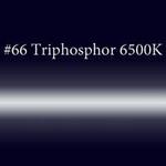 фото Трубка неоновая с люминофором #66 Triphosphor 6500K 12 мм