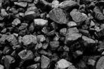фото Уголь каменный марки Дг (13-25) мм зола до 15% с ЦОФ