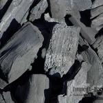 фото Уголь древесный