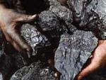 фото Уголь каменный в мешках по 50 литров.