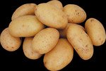 фото Картофель , картошка