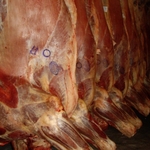 фото Реализация мяса говядины
