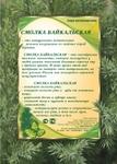 Фото №3 Производство и продажа натуральной жевательной резинки смолка сера живица лиственничная Байкальская