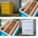 фото Ульи для расширения (развития) приобретенных пчелопакетов