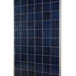 фото Поликристаллический солнечный модуль One-Sun 250P