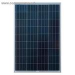фото Поликристаллическая солнечная батарея SilaSolar 100Вт