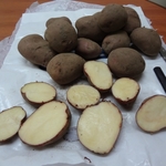фото Продаем картофель