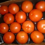 фото Продаем томаты марокканские оптом!