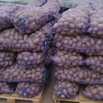 фото Продажа картофеля