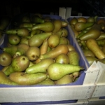 фото Продам овощи и фрукты из Голландии.