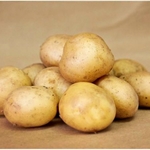 фото Свежий картофель урожай 2012 раннеспелый сорт "Удача"